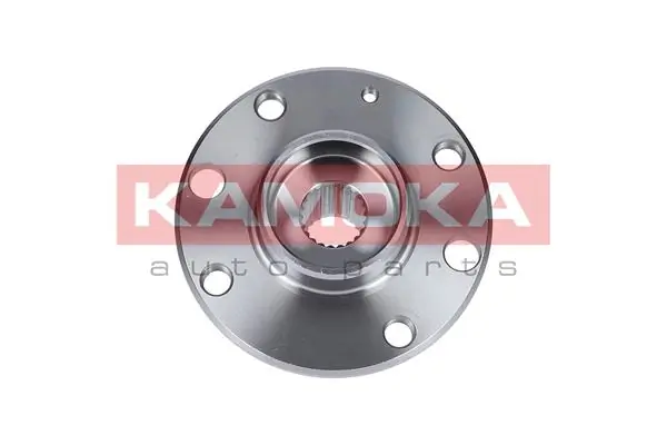 Wheel Hub 5500103