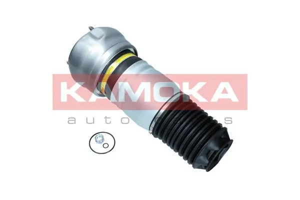 Air Spring, suspension 2079063