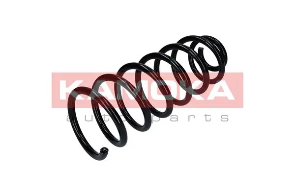 Suspension Spring 2120297