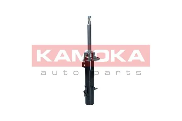 Shock Absorber 2001087