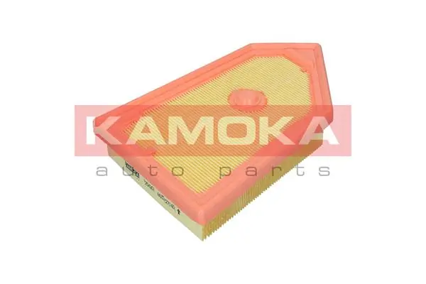 Air Filter F254301
