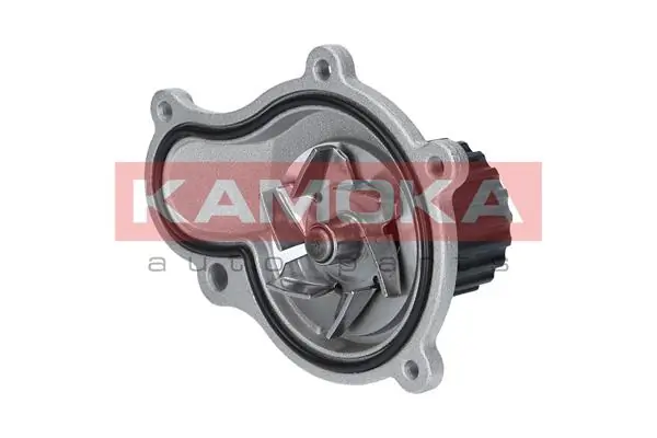Water Pump, engine cooling T0076