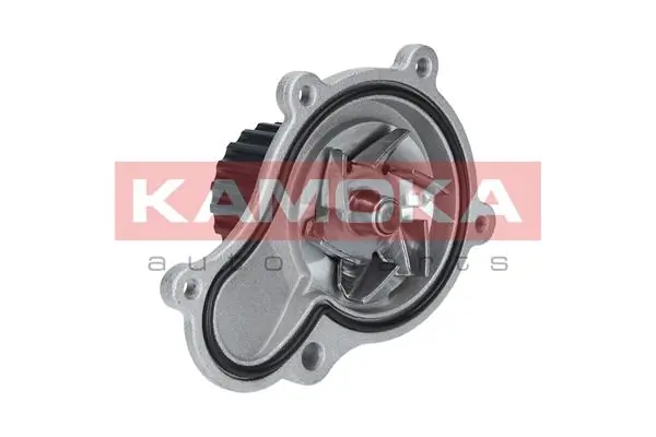 Water Pump, engine cooling T0089