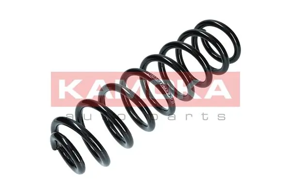 Suspension Spring 2110369