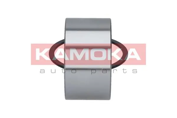 Wheel Bearing Kit 5600029