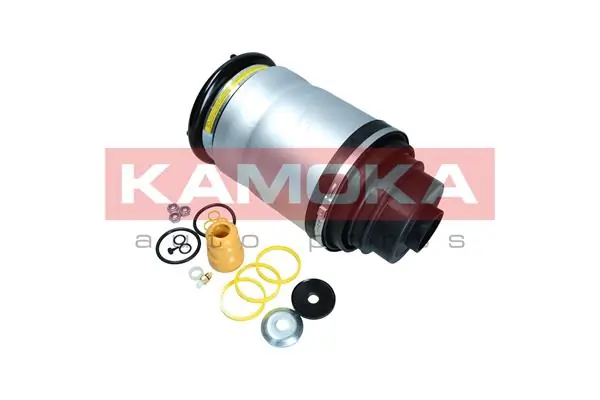 Air Spring, suspension 2079033