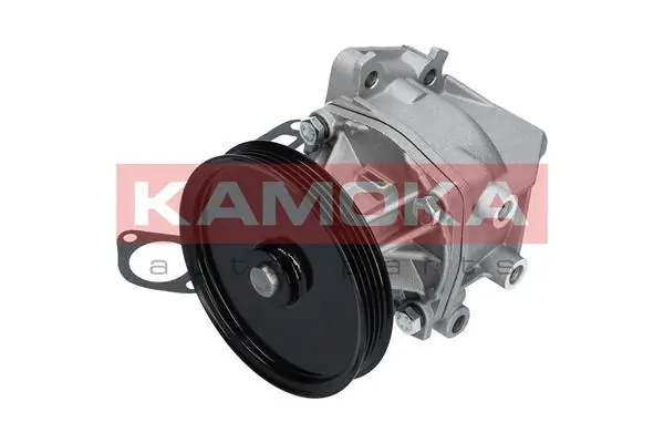 Water Pump, engine cooling T0123