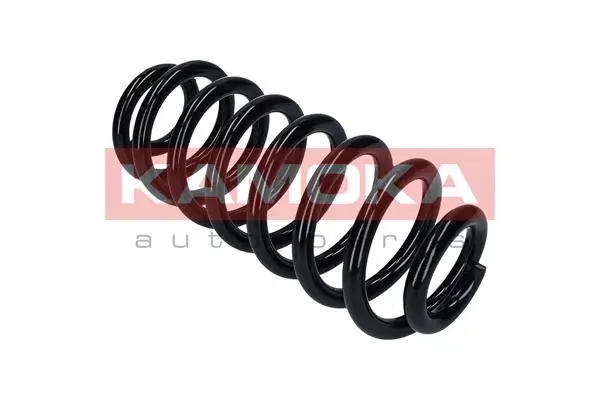 Suspension Spring 2120272