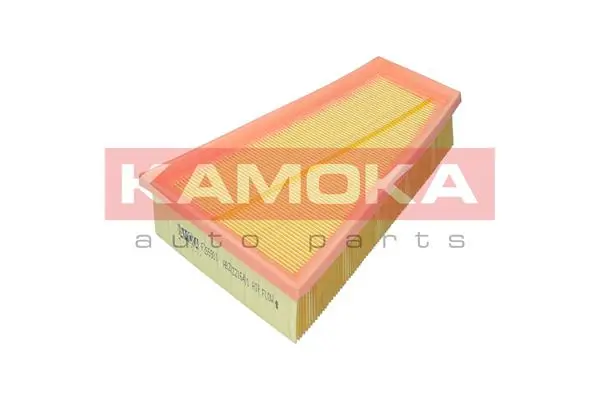 Air Filter F255901