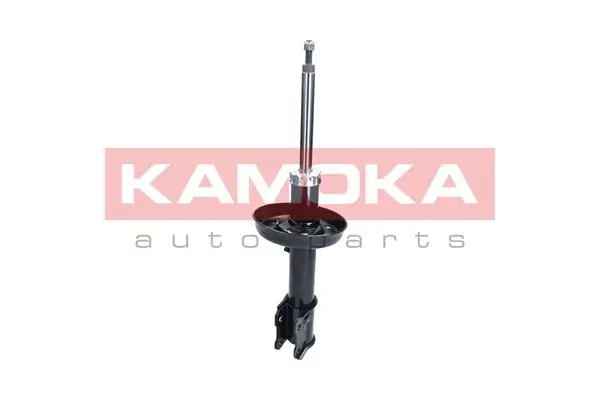 Shock Absorber 2000297