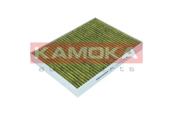 Filter, cabin air 6080054