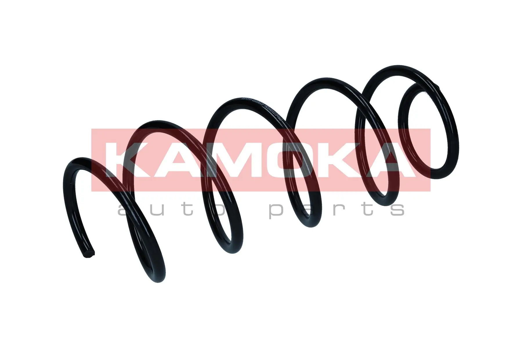 Suspension Spring 2110619