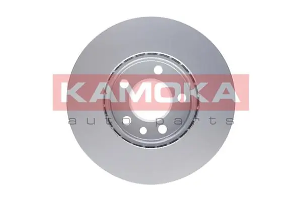 Brake Disc 1031118