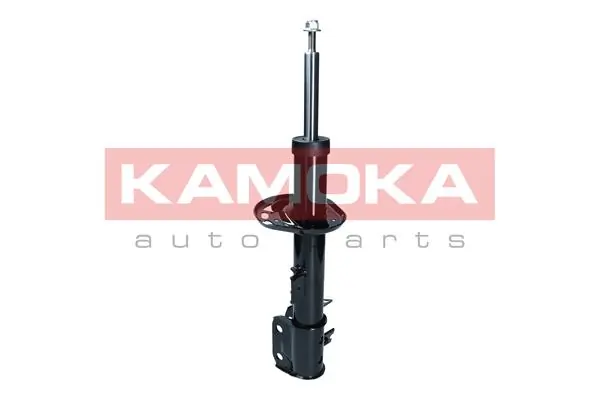 Shock Absorber 2000493