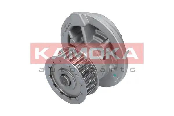 Water Pump, engine cooling T0229