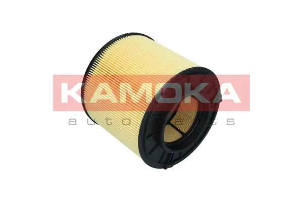 Air Filter F254901