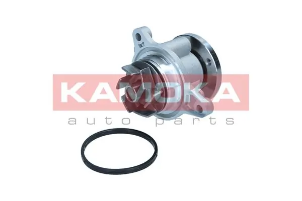 Water Pump, engine cooling T0310