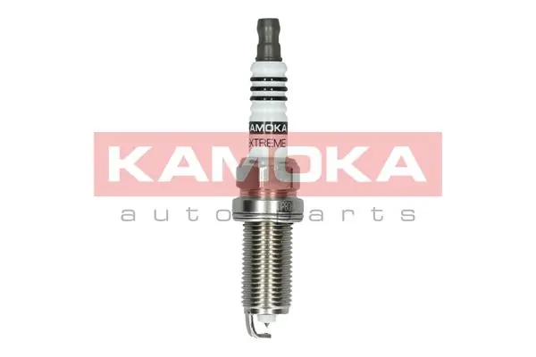 Spark Plug 7100055