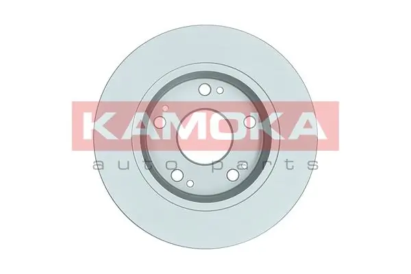 Brake Disc 1031028