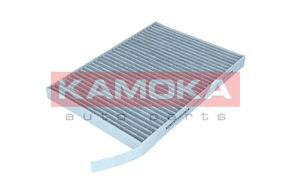 Filter, cabin air F519601