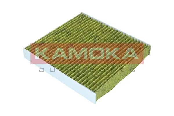 Filter, cabin air 6080105