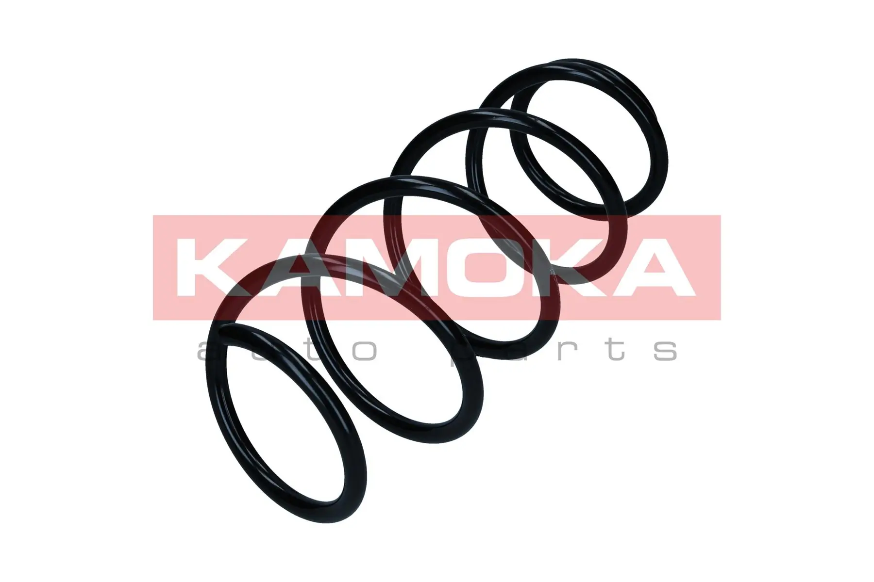 Suspension Spring 2110493