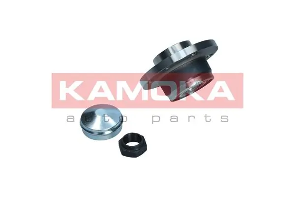 Wheel Bearing Kit 5500029