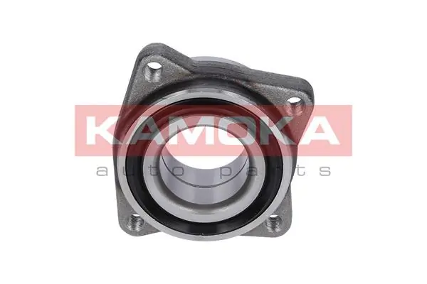 Wheel Bearing Kit 5500051