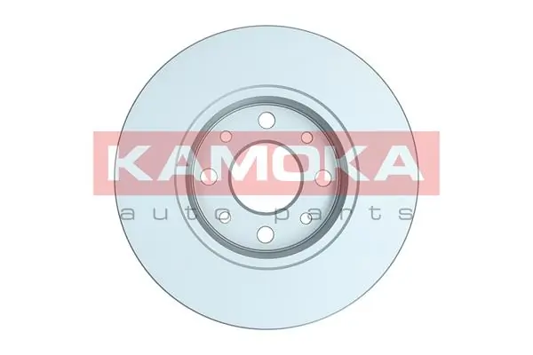 Brake Disc 103576