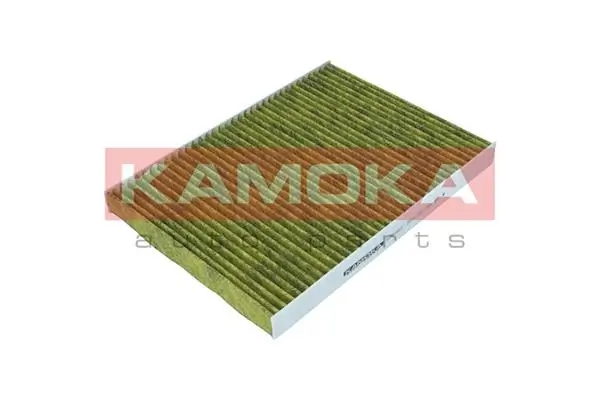 Filter, cabin air 6080001