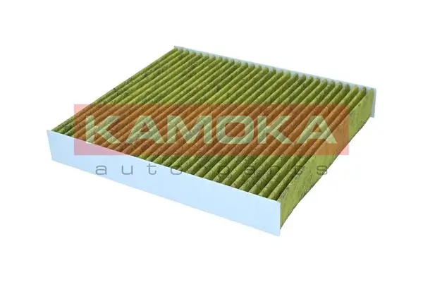 Filter, cabin air 6080189