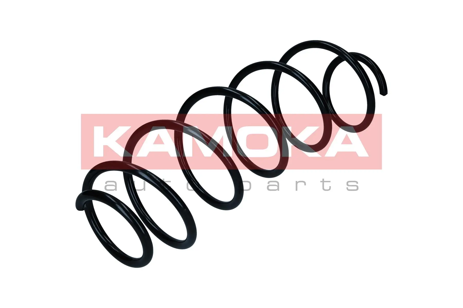 Suspension Spring 2110439