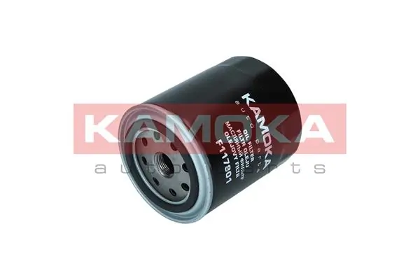 Oil Filter F117801