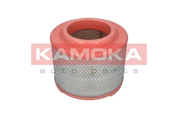 Air Filter F236201