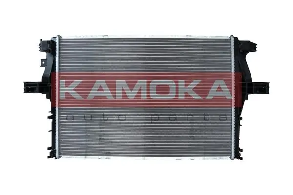 Radiator, engine cooling 7700025
