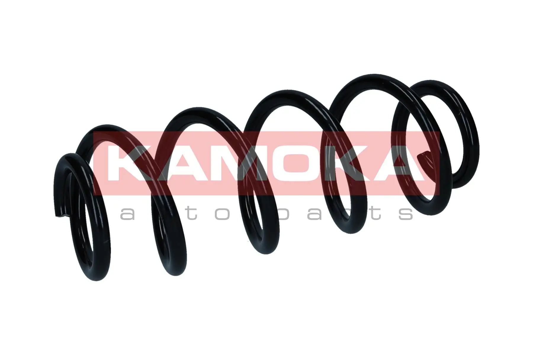 Suspension Spring 2120630