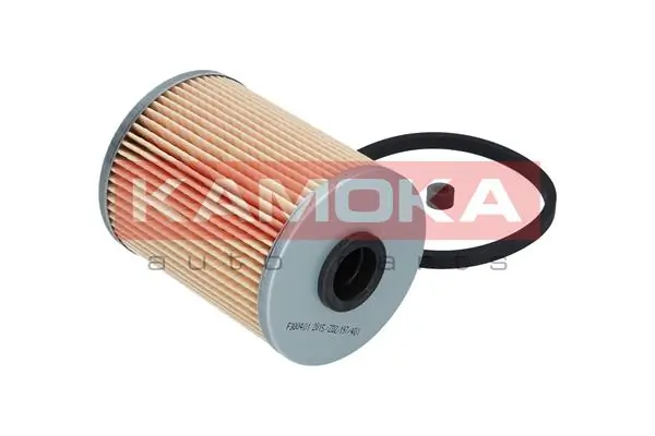 Fuel Filter F300401