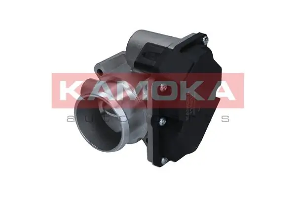 Throttle Body 112032