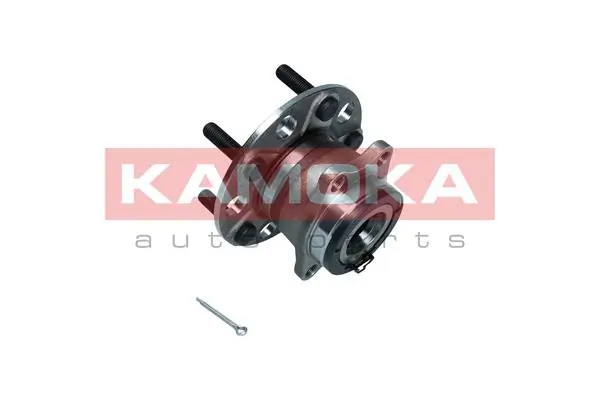 Wheel Bearing Kit 5500221