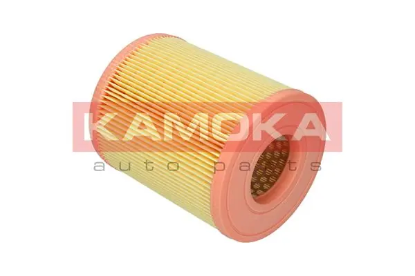 Air Filter F236501