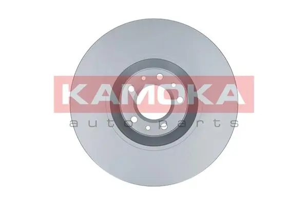 Brake Disc 103299