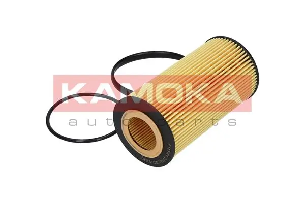 Oil Filter F107001