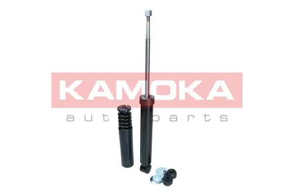 Shock Absorber 2000978