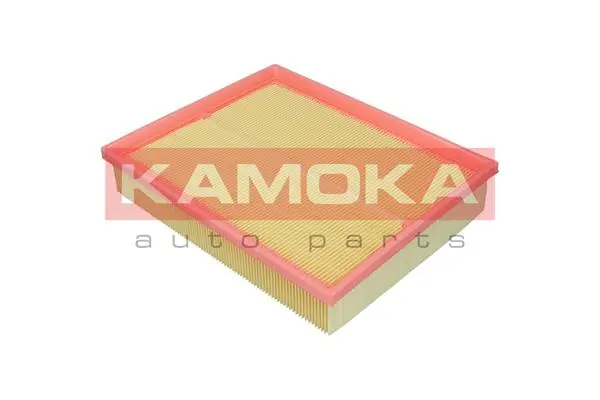 Air Filter F255101