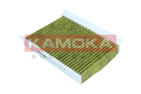 Filter, cabin air 6080100