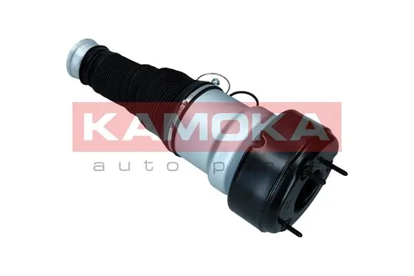 Air Spring, suspension 2079039
