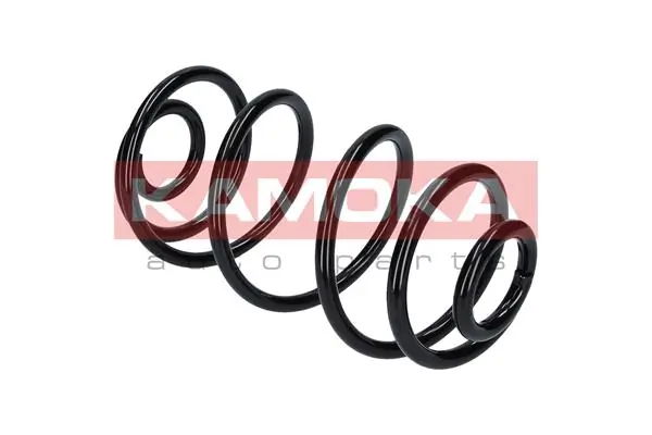 Suspension Spring 2120047