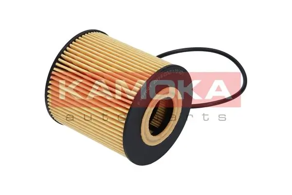 Oil Filter F106801