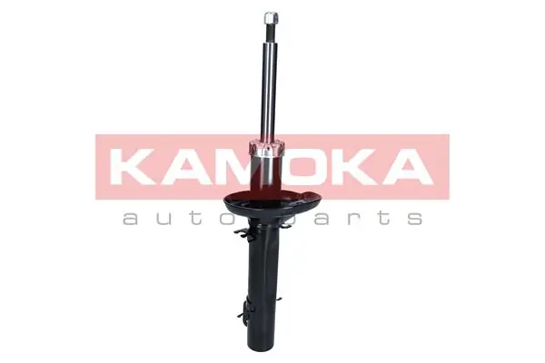 Shock Absorber 2000994