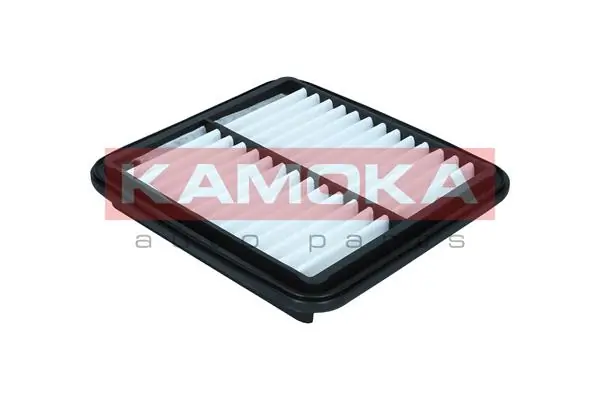Air Filter F254601